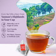 PiPi Tea – Natu﻿rally Packed With Antioxidants To Help Restore Health Inside and Out